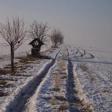 Ve Skolce 아파트